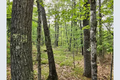 280 Lessner Road, Damariscotta, ME 04543 - Photo 41