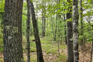 280 Lessner Rd, Damariscotta, ME 04543 - Photo 41