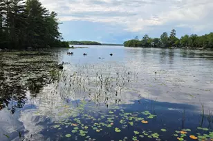 30 Driftwood Ln, Old Town, ME 04468 - Photo 39