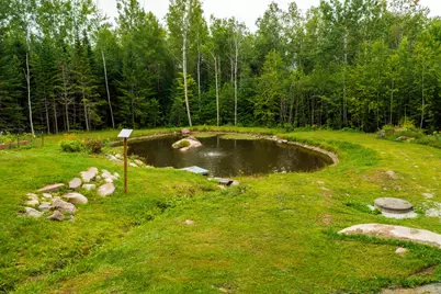 19 Snowshoe Lane, Jackman, ME 04945 - Photo 29