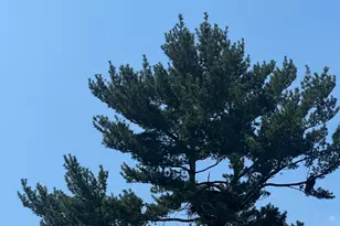 195 Ferry Rd, Chelsea, ME 04330 - Photo 87
