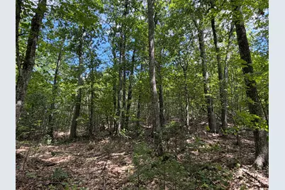 3.15 Acres Belden Woods Road, Palermo, ME 04354 - Photo 7