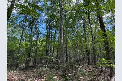 3.15 Acres Belden Woods Road, Palermo, ME 04354 - Photo 15