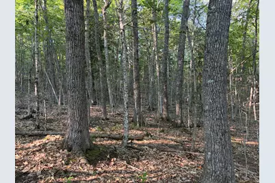 7 Acres Belden Woods Road, Palermo, ME 04354 - Photo 13