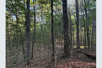 7 Acres Belden Woods Road, Palermo, ME 04354 - Photo 11