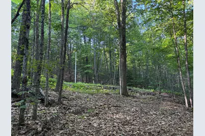 7 Acres Belden Woods Road, Palermo, ME 04354 - Photo 9