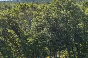 296 N Berwick Rd, Wells, ME 04090 - Photo 1