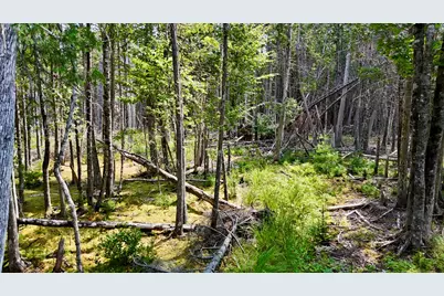 M08 L044-D Flye Point Road, Brooklin, ME 04616 - Photo 5