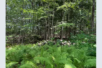 L52B & 52C Off Gammon Road, Limington, ME 04049 - Photo 11