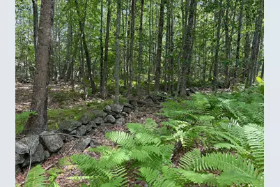 L52B & 52C Off Gammon Road, Limington, ME 04049 - Photo 13