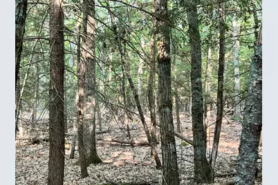 70-0 East Burrough Road, Bowdoin, ME 04287 - Photo 23