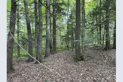 Hinckley Rd, M4 L26-1, Canaan, ME 04924 - Photo 5