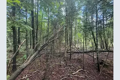 198 Green Ridge Road, Caribou, ME 04736 - Photo 7