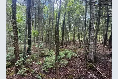 198 Green Ridge Road, Caribou, ME 04736 - Photo 3
