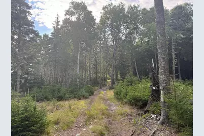 Lot 10-1 N Sutton Island, Cranberry Isles, ME 04625 - Photo 3
