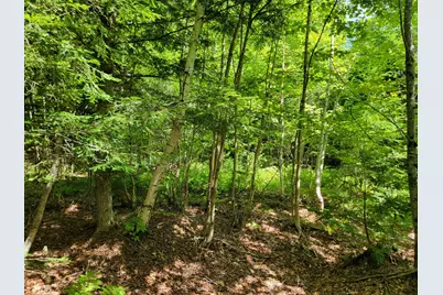 B-2Backlot Pioneer Path, Aurora, ME 04605 - Photo 25