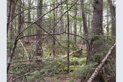 B-2Backlot Pioneer Path, Aurora, ME 04605 - Photo 21