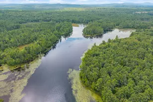 447 Balch Mill Rd, Newfield, ME 04095 - Photo 45