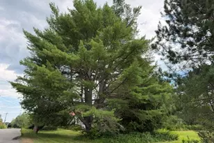 53 Gleason Cove Rd, Perry, ME 04667 - Photo 63