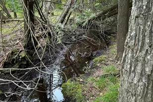 272 E Rd, New Sweden, ME 04762 - Photo 25