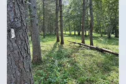 272 East Road, New Sweden, ME 04762 - Photo 39