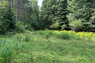 272 E Rd, New Sweden, ME 04762 - Photo 31