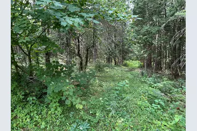 272 East Road, New Sweden, ME 04762 - Photo 35