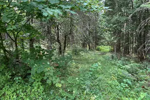 272 E Rd, New Sweden, ME 04762 - Photo 35