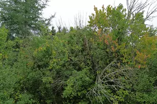 272 E Rd, New Sweden, ME 04762 - Photo 19