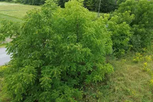 272 E Rd, New Sweden, ME 04762 - Photo 7