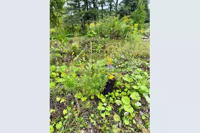586 Robinson Road, Blaine, ME 04734 - Photo 11