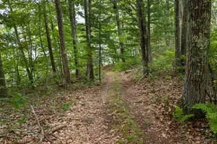 28 Heikkila Ln, Union, ME 04862 - Photo 41