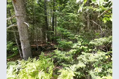 Lot 5 River Road, Maxfield, ME 04453 - Photo 5