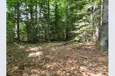 Lot 5 River Road, Maxfield, ME 04453 - Photo 7