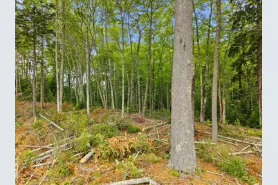 0 Bayside Road, Ellsworth, ME 04605 - Photo 9