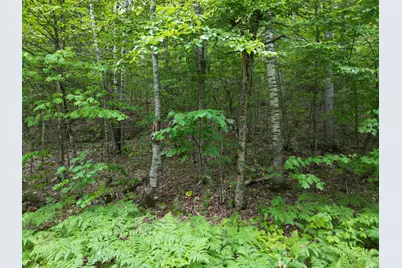 Lot 32 Bagley Mountain Road, Lincoln, ME 04457 - Photo 5
