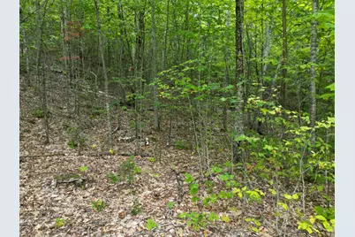 Lot 32 Bagley Mountain Road, Lincoln, ME 04457 - Photo 7