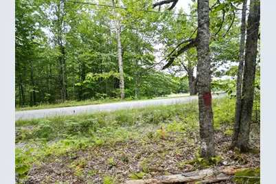 Lot 32 Bagley Mountain Road, Lincoln, ME 04457 - Photo 9