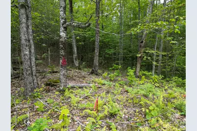 Lot 32 Bagley Mountain Road, Lincoln, ME 04457 - Photo 1