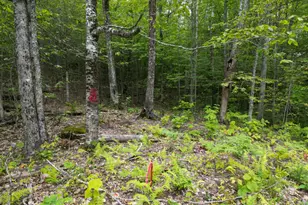 Lot 32 Bagley Mountain Rd, Lincoln, ME 04457 - Photo 1