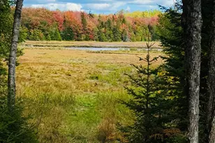 66 Salty Marsh Dr, Steuben, ME 04680 - Photo 7