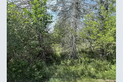 M1L3-5 Kansas Road, Milbridge, ME 04658 - Photo 3