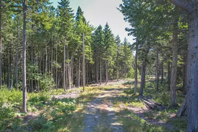 102 Estates Road Lot #3, Steuben, ME 04680 - Photo 7
