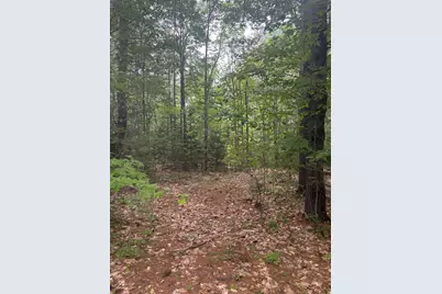 Lot 28 Troy Road, Burnham, ME 04922 - Photo 7