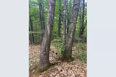 Lot 28 Troy Road, Burnham, ME 04922 - Photo 9