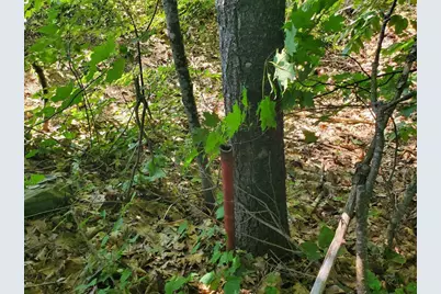 Lot 35-D Higgins Hill Road, Morrill, ME 04952 - Photo 13