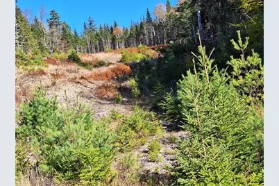 Lot #9 Wheeler Road, Rangeley, ME 04970 - Photo 5
