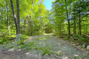 71 Saras Trl, Bridgton, ME 04009 - Photo 1