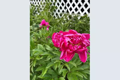 101 Main Street, Belgrade, ME 04917 - Photo 9