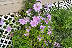 101 Main St, Belgrade, ME 04917 - Photo 9